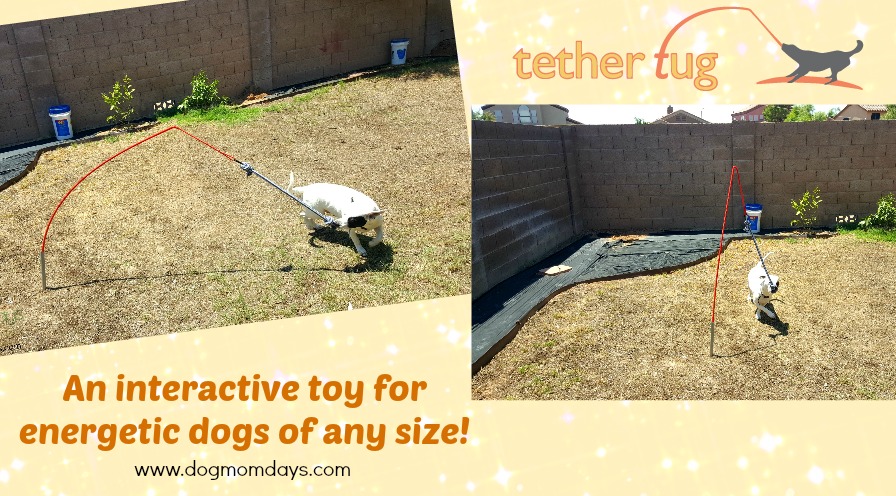 Interactive Dog Toys for Energetic Dogs, Tether Tug Dog Toy