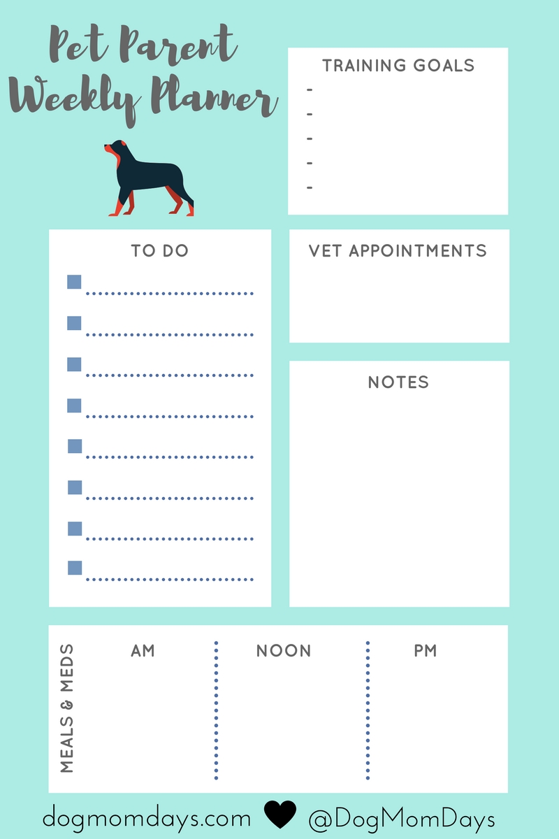 dog daily schedule chart