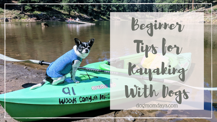 Beginner Tips for Kayaking With Dogs - Dog Mom Days